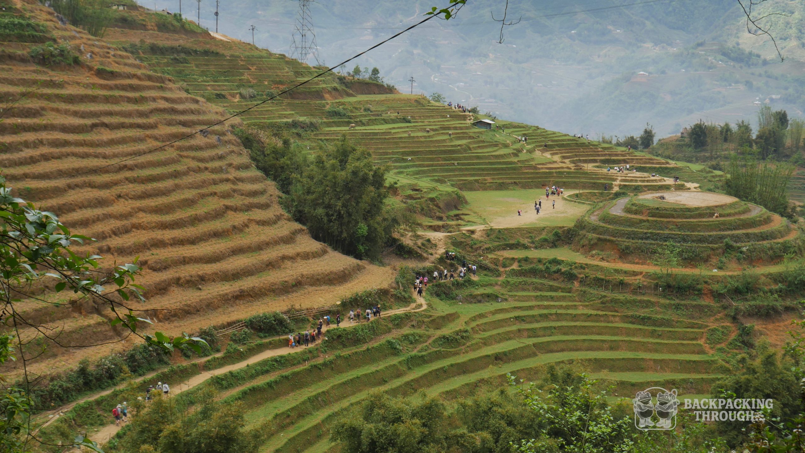 Arrozales en la montaña de Sapa