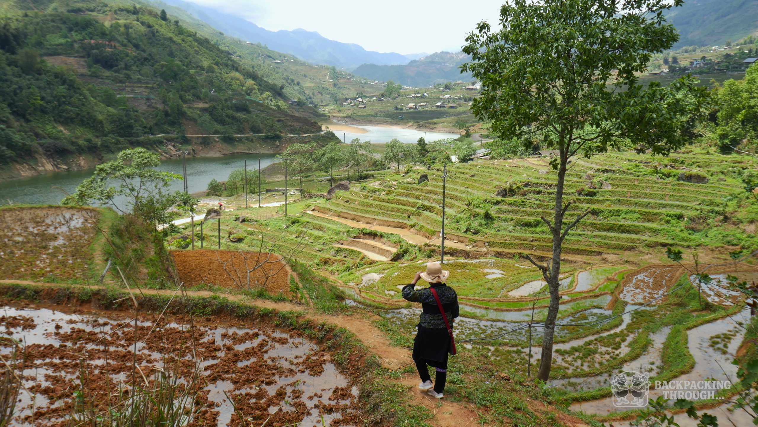 Trekking Sapa arrozales